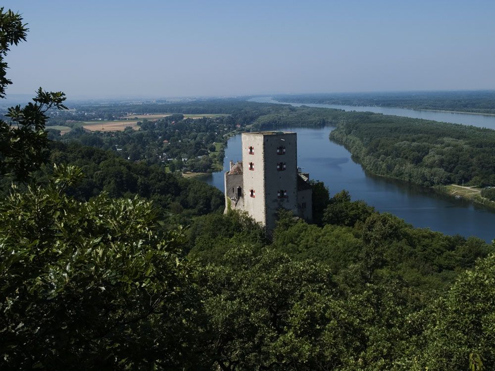 Burg Greifenstein mit Fluss und Wald im Hintergrund.