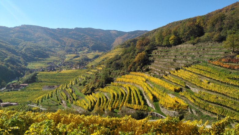 Unterwegs am Panoramaweg Spitzer Graben, &copy; Donau N&Ouml;: Heidi Schauer-Leberzipf