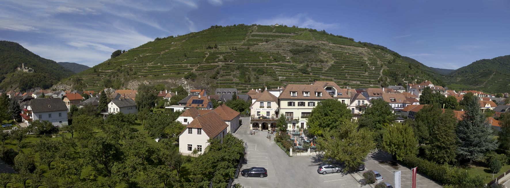 Panorama eines Dorfes mit Weinbergen im Hintergrund.