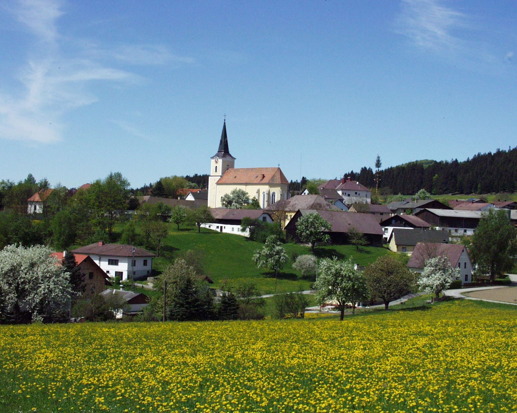 Landschaft mit Kirche und Dorf im Hintergrund, umgeben von blühenden Bäumen und Wiesen.