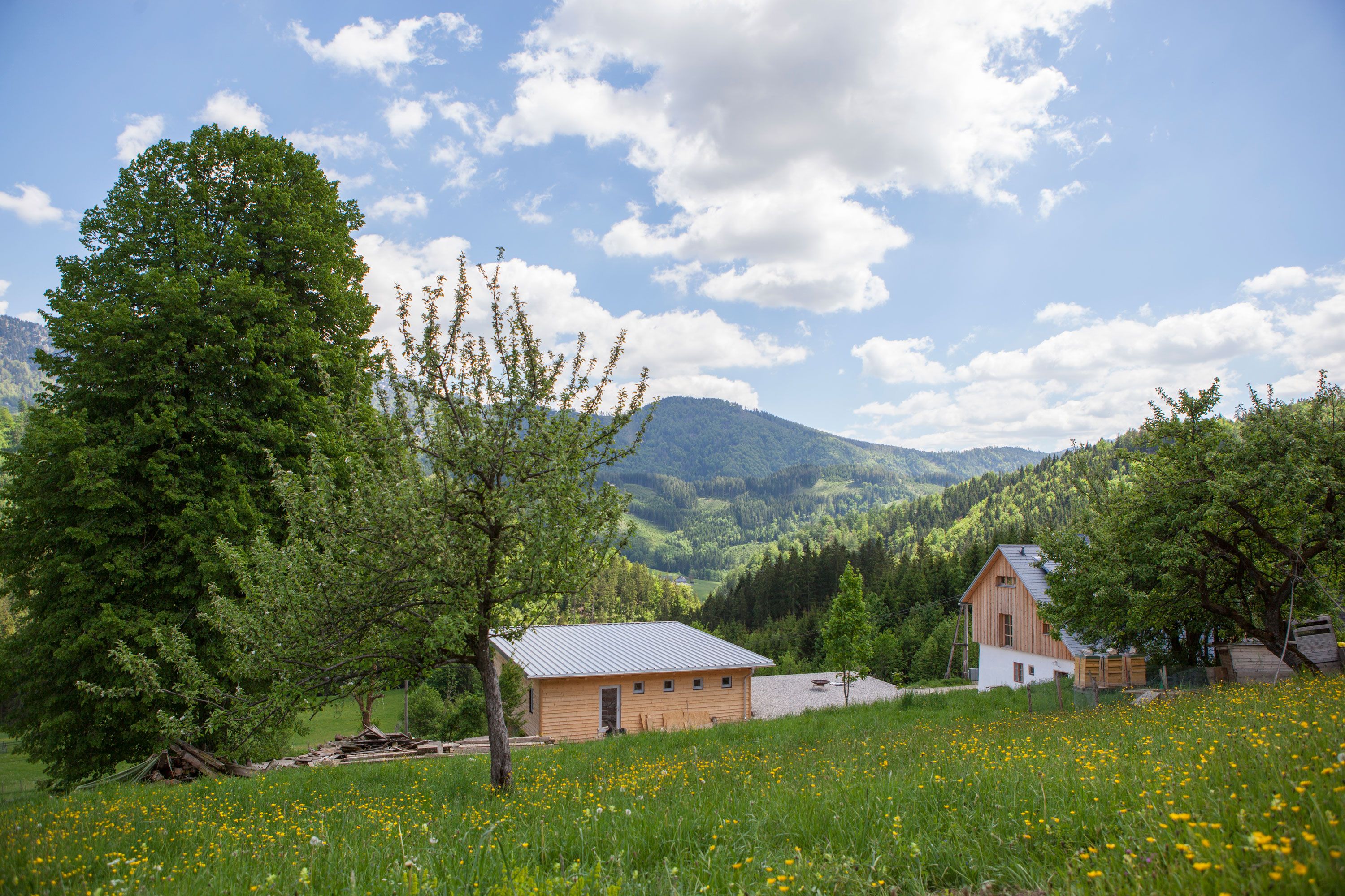 Landschaft mit grünen Wiesen, Bäumen und einem Bauernhof vor bewaldeten Hügeln und blauem Himmel.