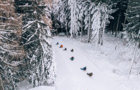 Menschen rodeln auf einer verschneiten Waldstrecke.