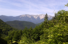 Blick von der Kaiserbenwiese zum Schneeberg, © Wiener Alpen in Niederösterreich - Schneeberg Hohe Wand