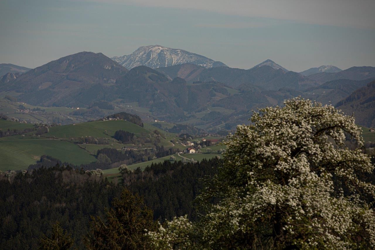 Fotopunkt Ötscher
