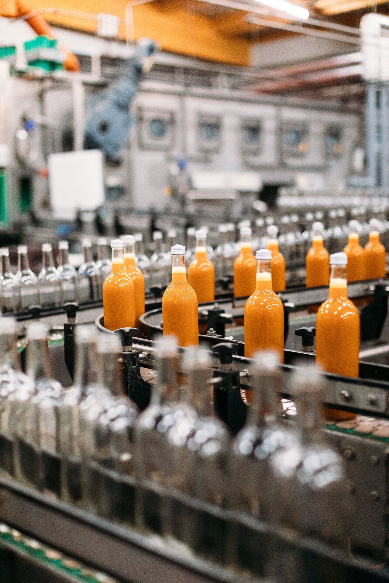 Inmitten der sanften Hügel des Mostviertels erstrahlen die frisch gefüllten Flaschen mit goldenem Most. Die Atmosphäre ist erfüllt von der süßen Frische der Früchte und dem Duft des nahen Obstgartens, während die Sonne sanft über die Landschaft scheint.