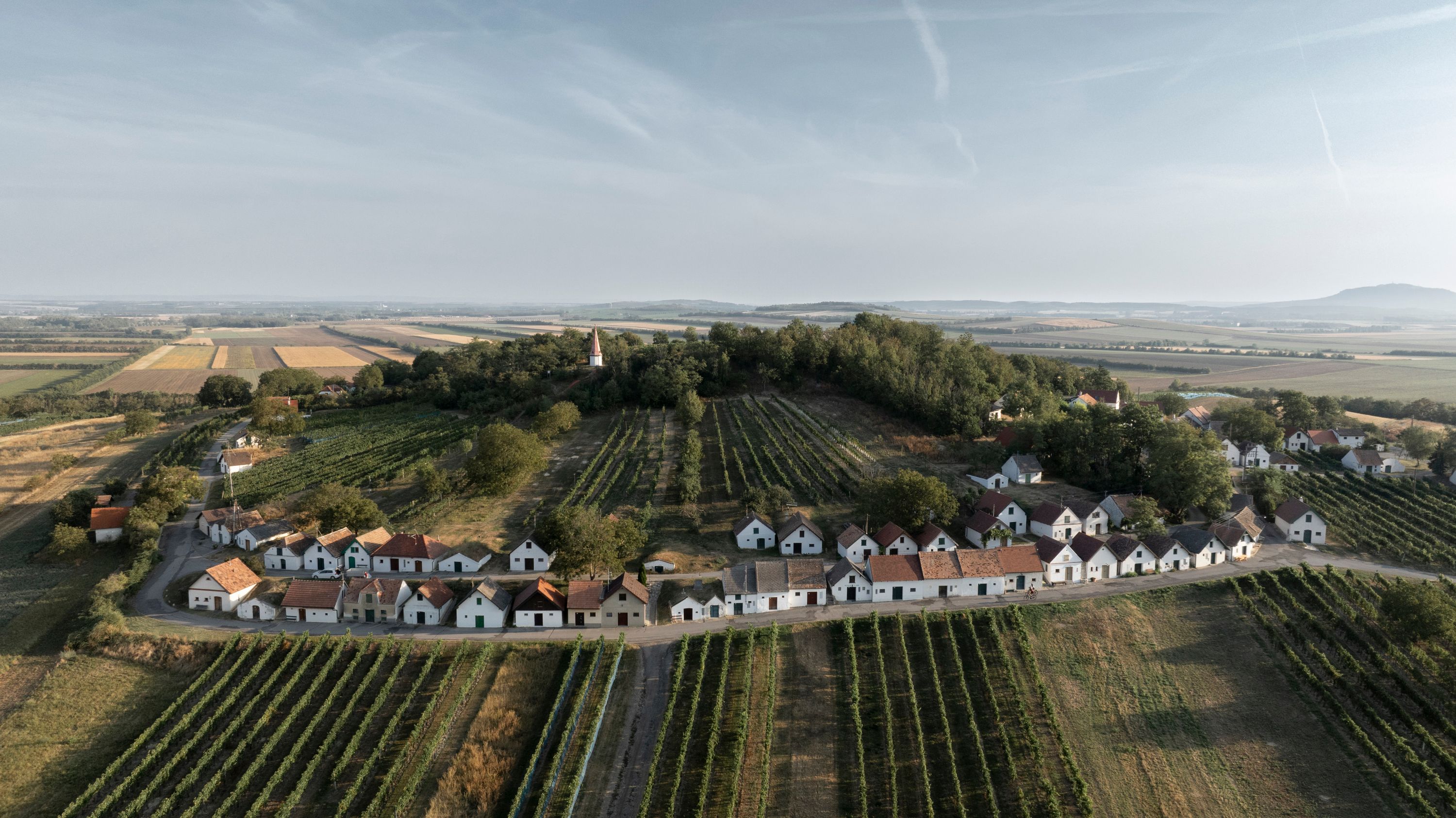 Luftaufnahme der Kellergasse Galgenberg mit Weinbergen und kleinen Häusern.