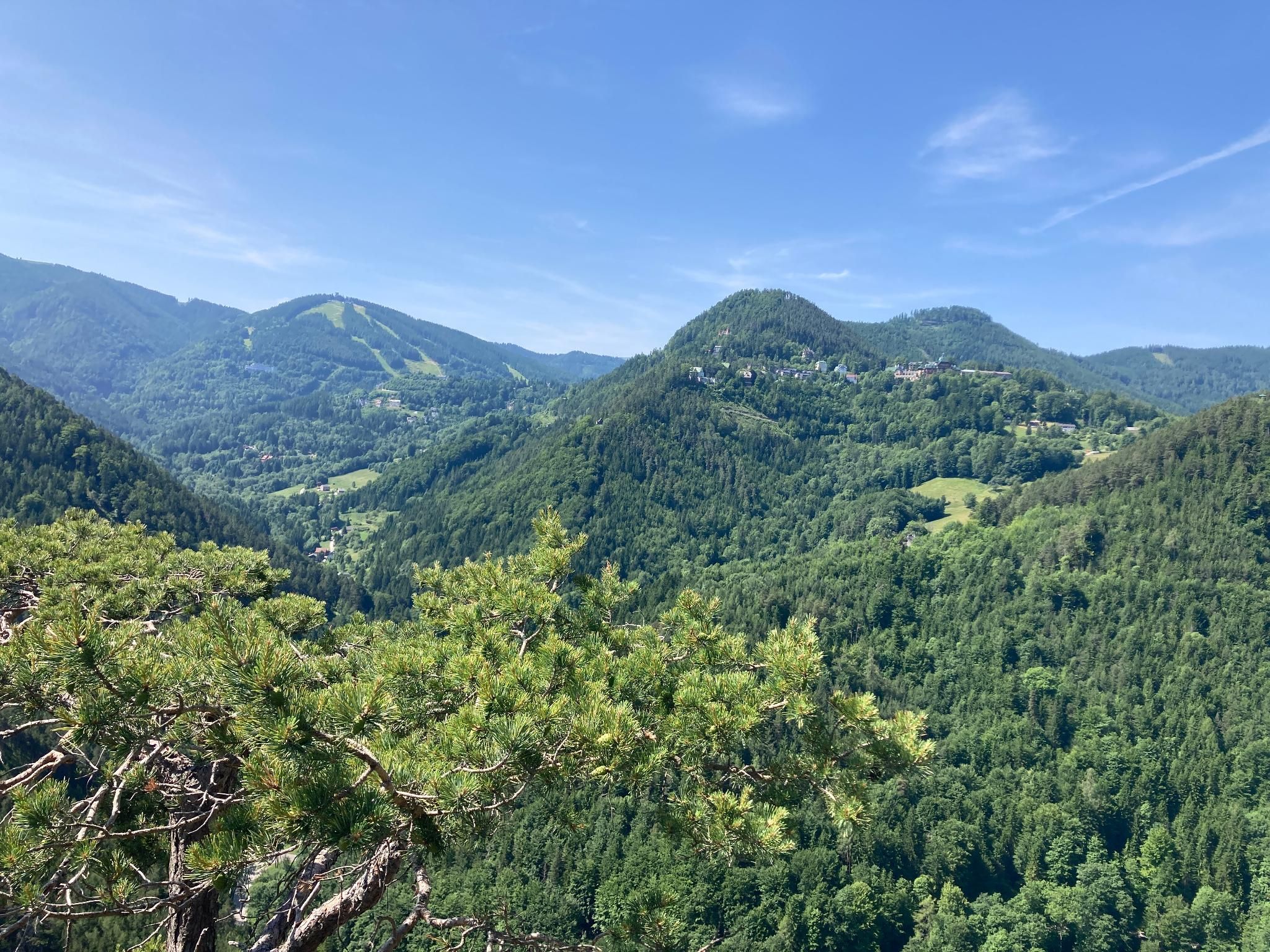 Blick auf grüne bewaldete Hügel unter blauem Himmel.