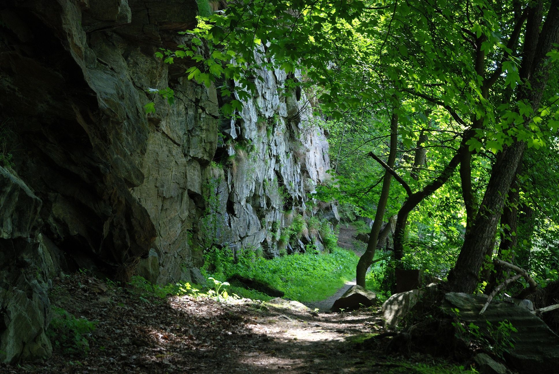 Ruine Buchenstein-Weg