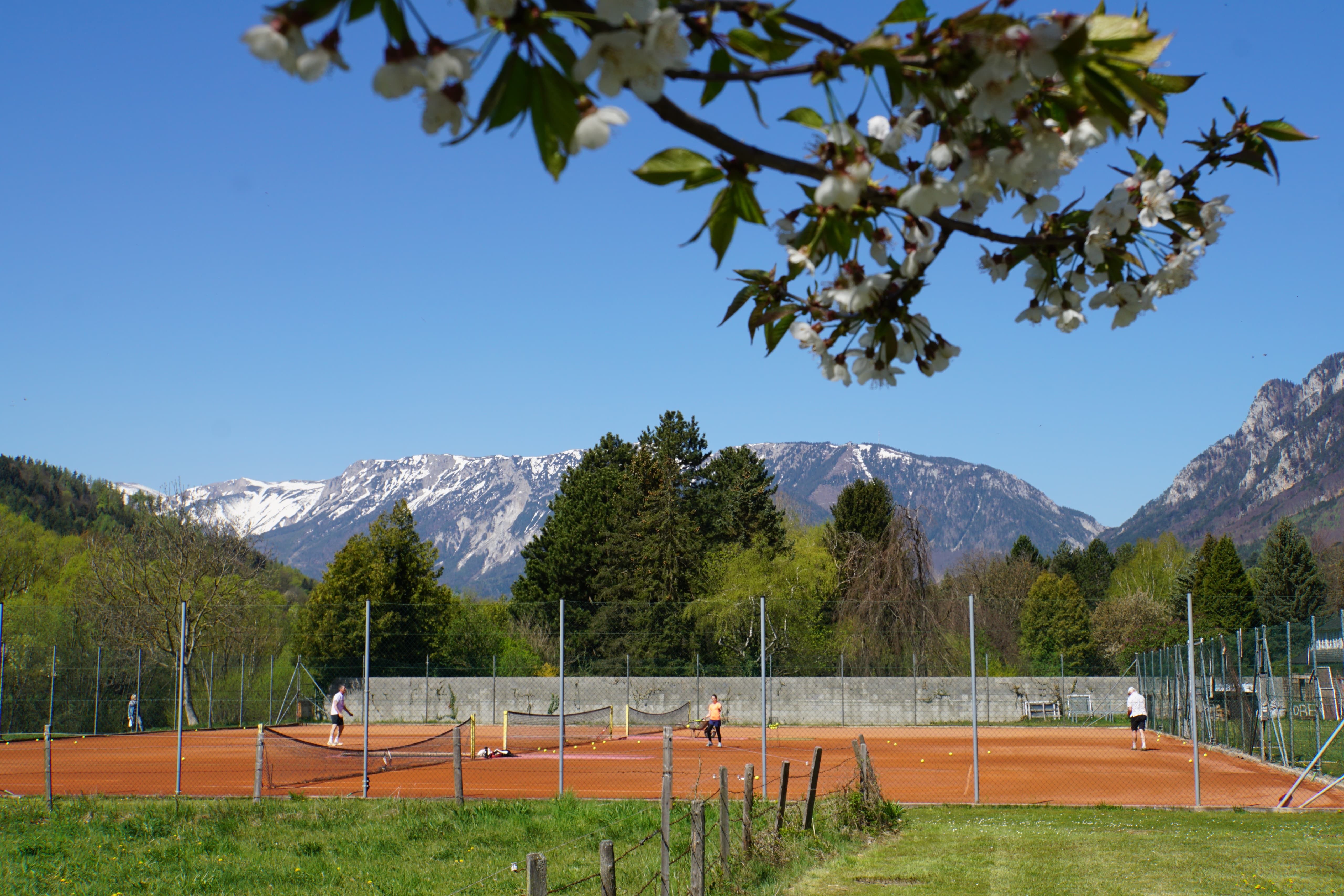 Tennisplatz mit Spielern vor einer Bergkulisse und blühenden Bäumen im Vordergrund.