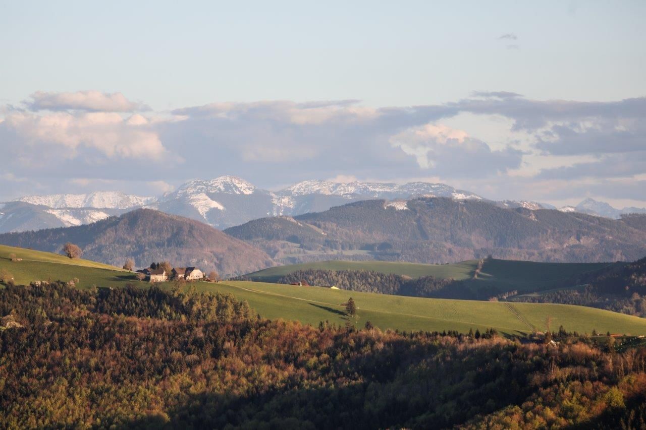 Blick ins Alpenvorland