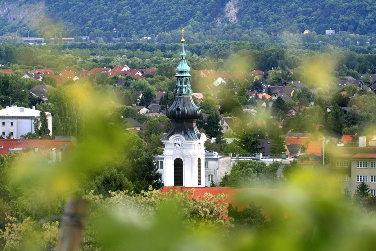 Kirchturm mit grüner Kuppel in einer Stadtlandschaft, umgeben von Bäumen und Häusern.