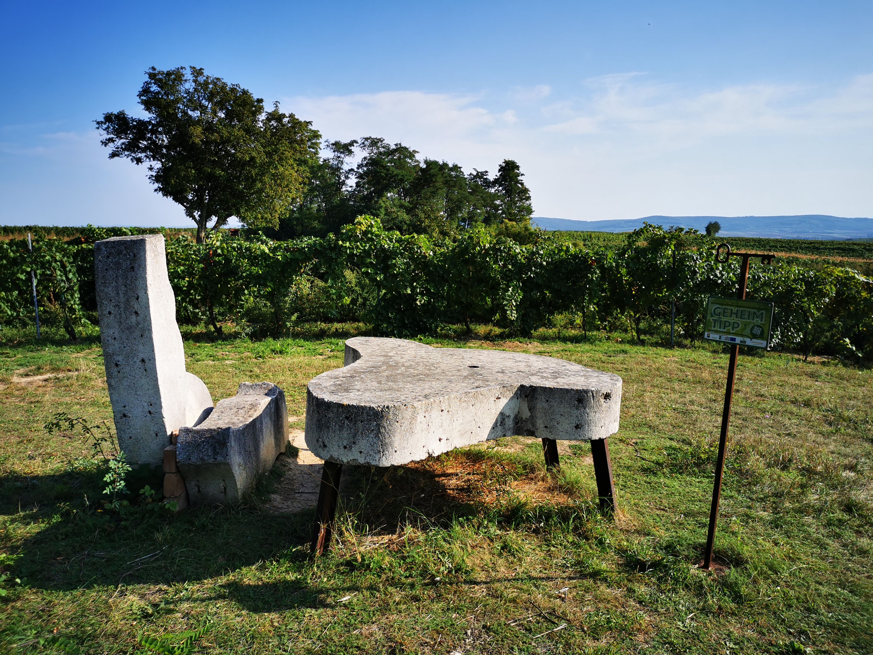 Steinbank und Tisch in einem Weinberg mit Schild 'Geheimtipp'.