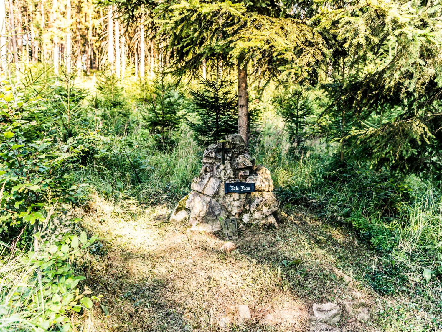 Ein Gedenkstein mit der Aufschrift 'Tote Frau' steht in einem Wald, umgeben von Bäumen und Gras.