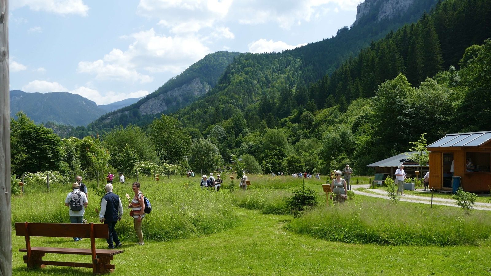 Menschen spazieren in einem grünen Park mit Bergen im Hintergrund.