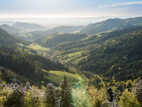 Blick ins Hornungstal bei Gutenmann, &copy; Wiener Alpen in Nieder&ouml;sterreich