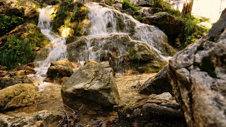 Ein kleiner Wasserfall flie&szlig;t &uuml;ber moosbedeckte Felsen in einem Wald.