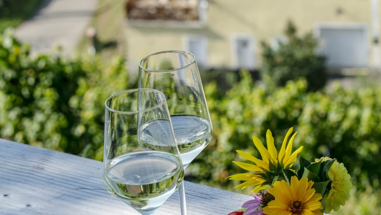 In den Weinbergen, &copy; Carmen Auer