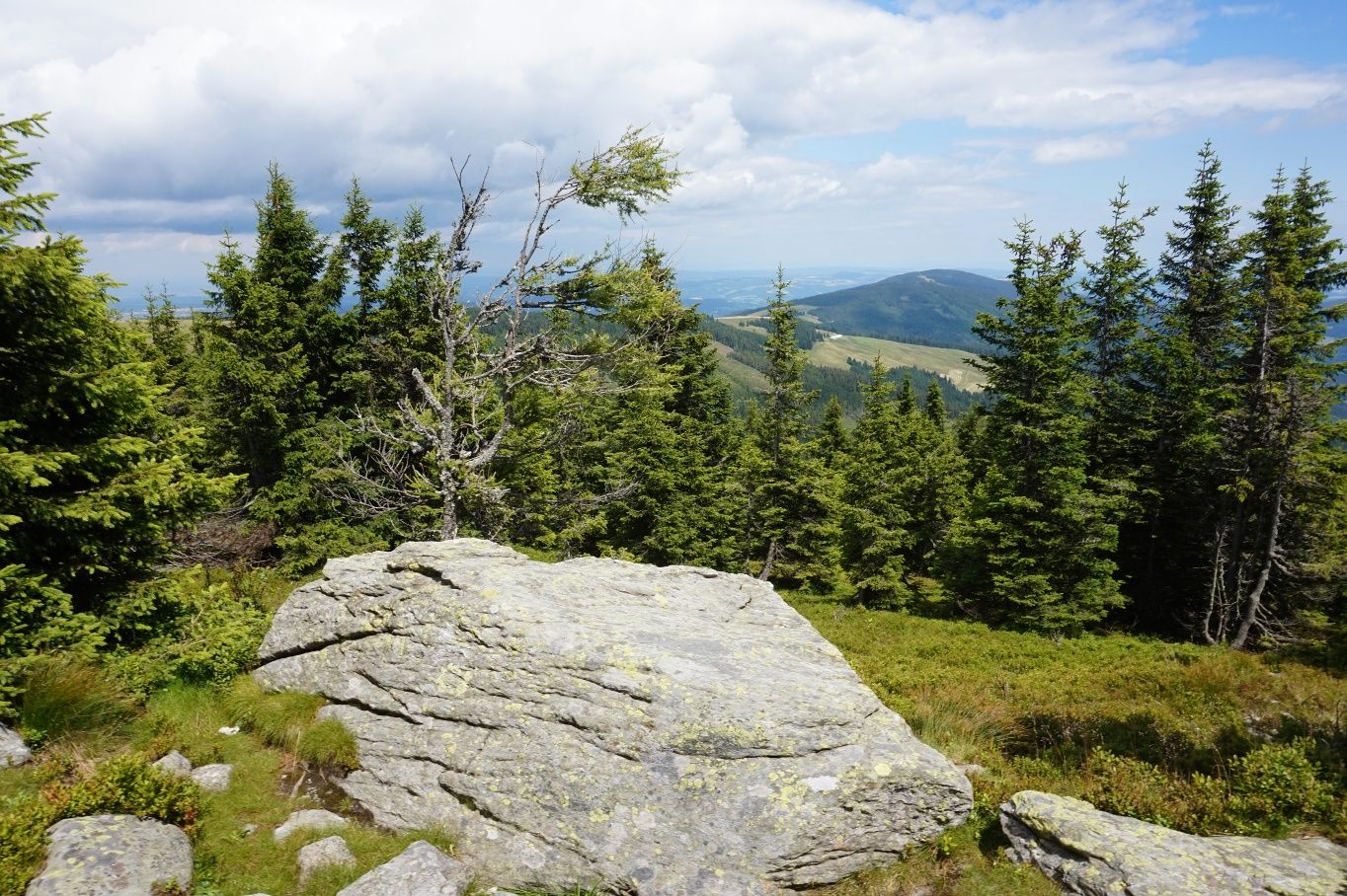 alpannonia - Regionale Route Rettenegg - Pretul