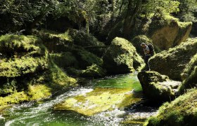 Die sanften Wellen des klaren Wassers pl&auml;tschern leise &uuml;ber die moosbedeckten Steine, w&auml;hrend die &uuml;ppige Vegetation die Umgebung in ein gr&uuml;nes Paradies verwandelt. Ein Wanderer genie&szlig;t die friedliche Atmosph&auml;re und die erfrischende Brise, die durch die B&auml;ume weht.