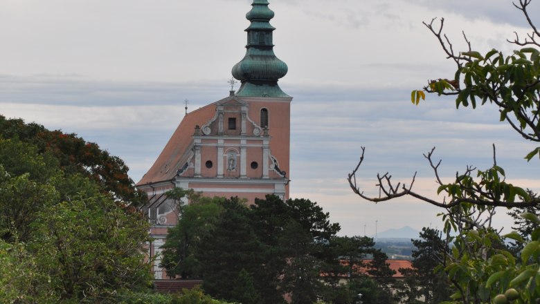 Kirche mit gr&uuml;nem Turm und Weinberg im Vordergrund.