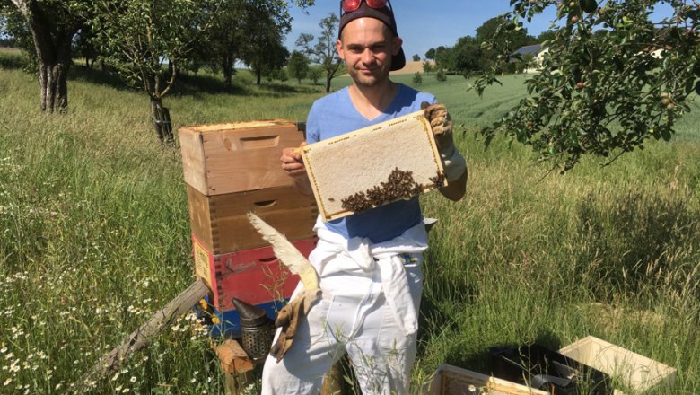 MOSTbee dein Imker, &copy; stoefchr.at