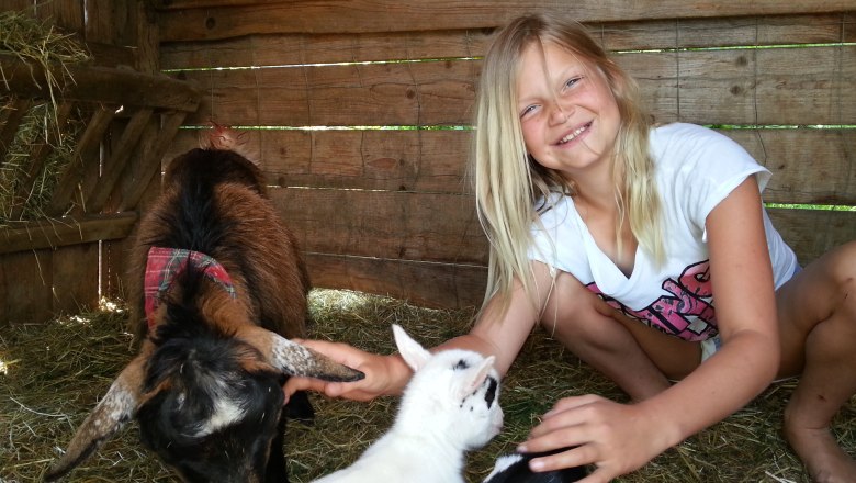 Im Ziegenstall, &copy; Lothspieler