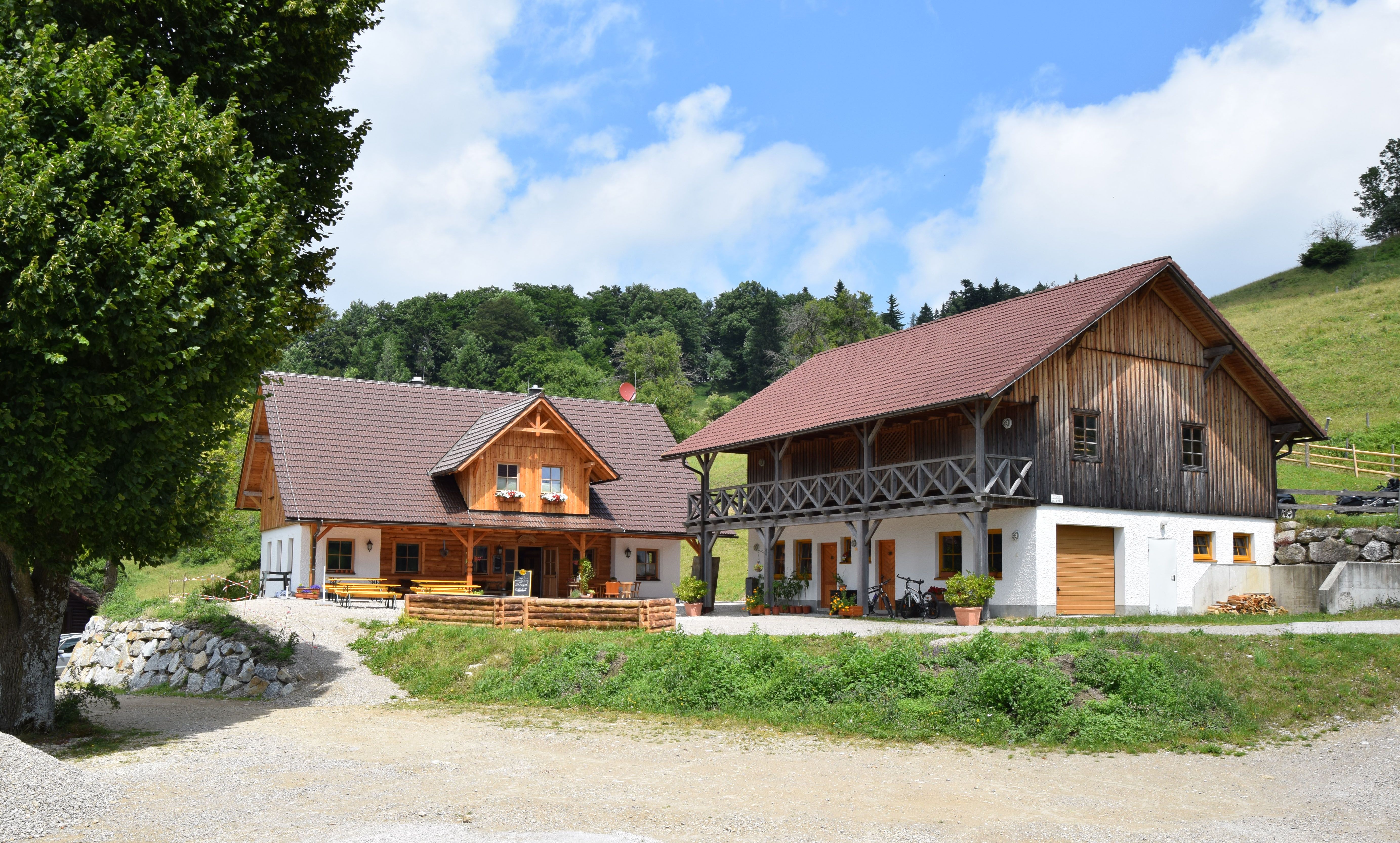 Zwei traditionelle Holzhäuser auf einer Alm mit grünem Hügel im Hintergrund.
