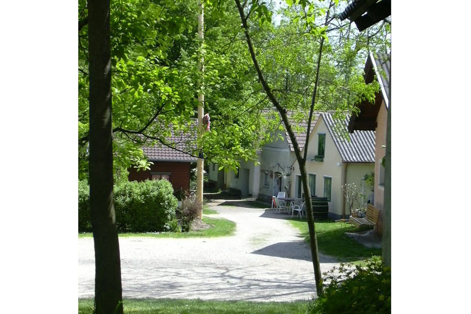 Eine idyllische Kellergasse mit kleinen Häusern und viel Grün im Frühling.