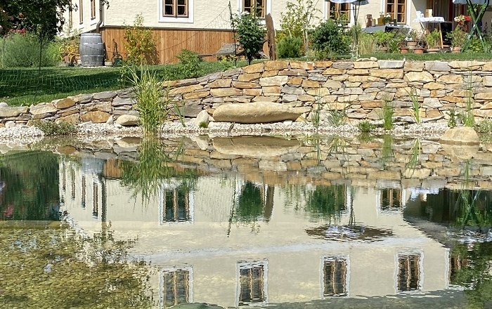 Ein Gartenteich mit Seerosen und der Spiegelung eines Hauses im Wasser.