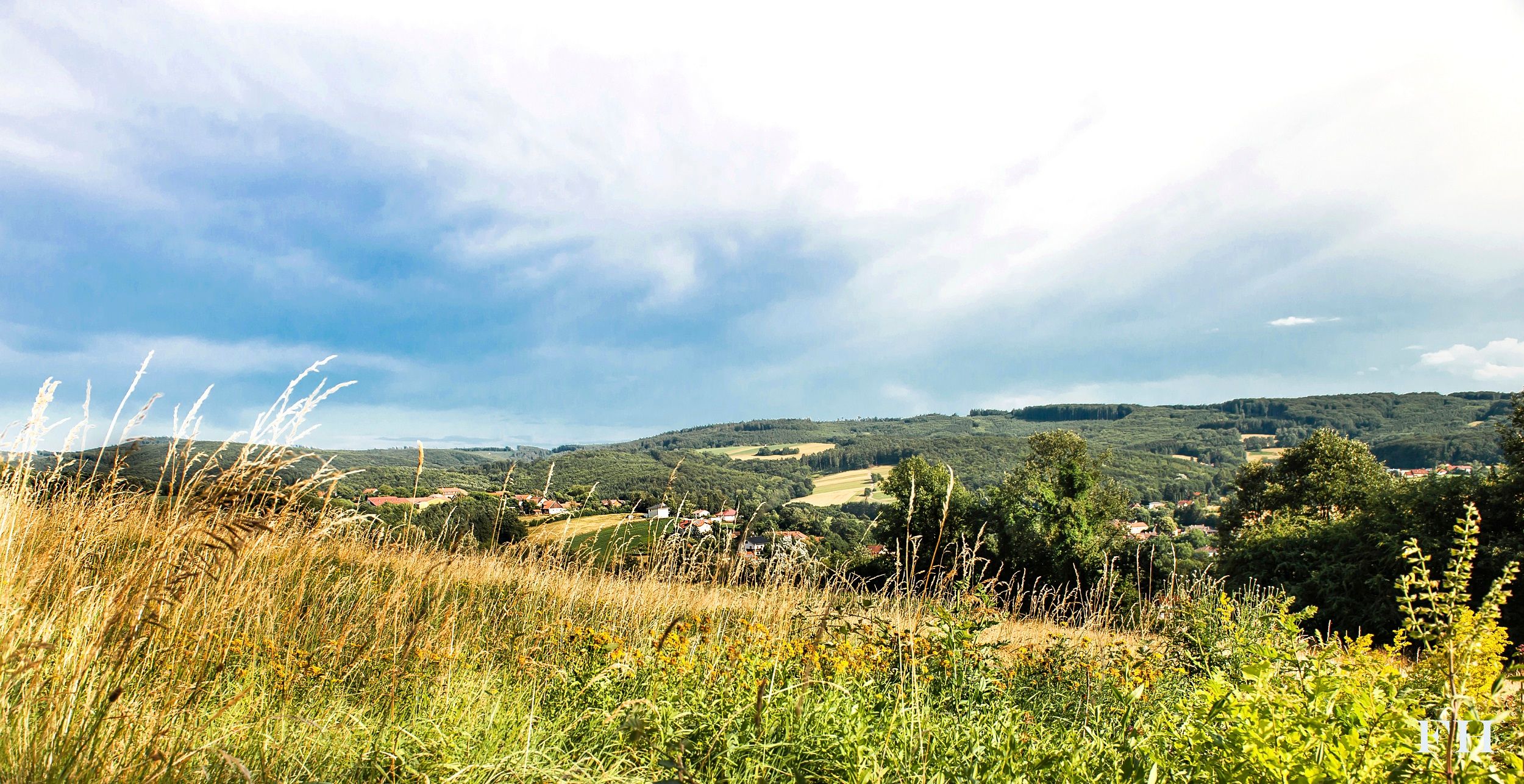 Landschaft mit Wiesen, Hügeln und bewölktem Himmel in Sieghartskirchen.