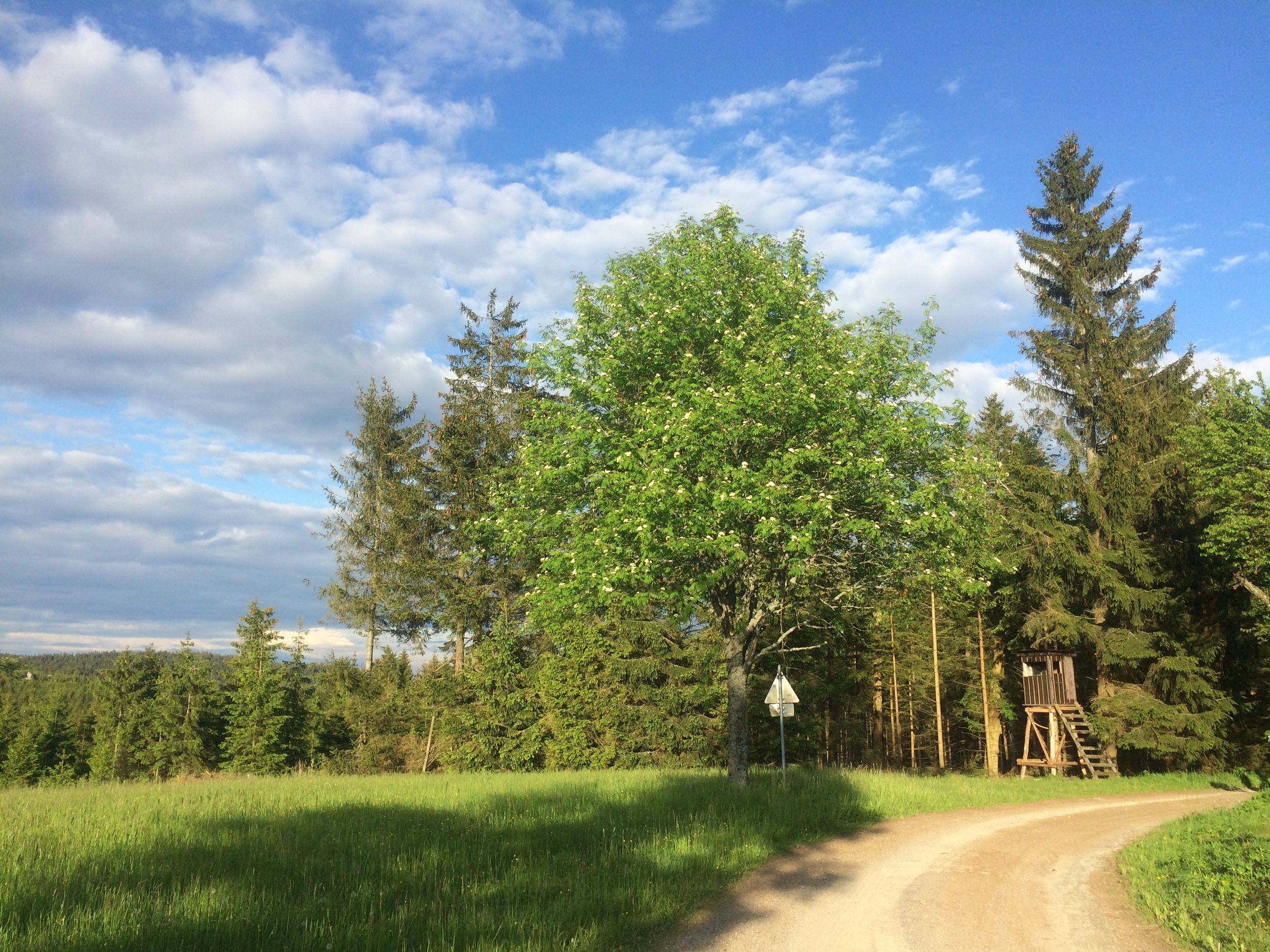 Richtung Stifterteich 1,5 km entfernt