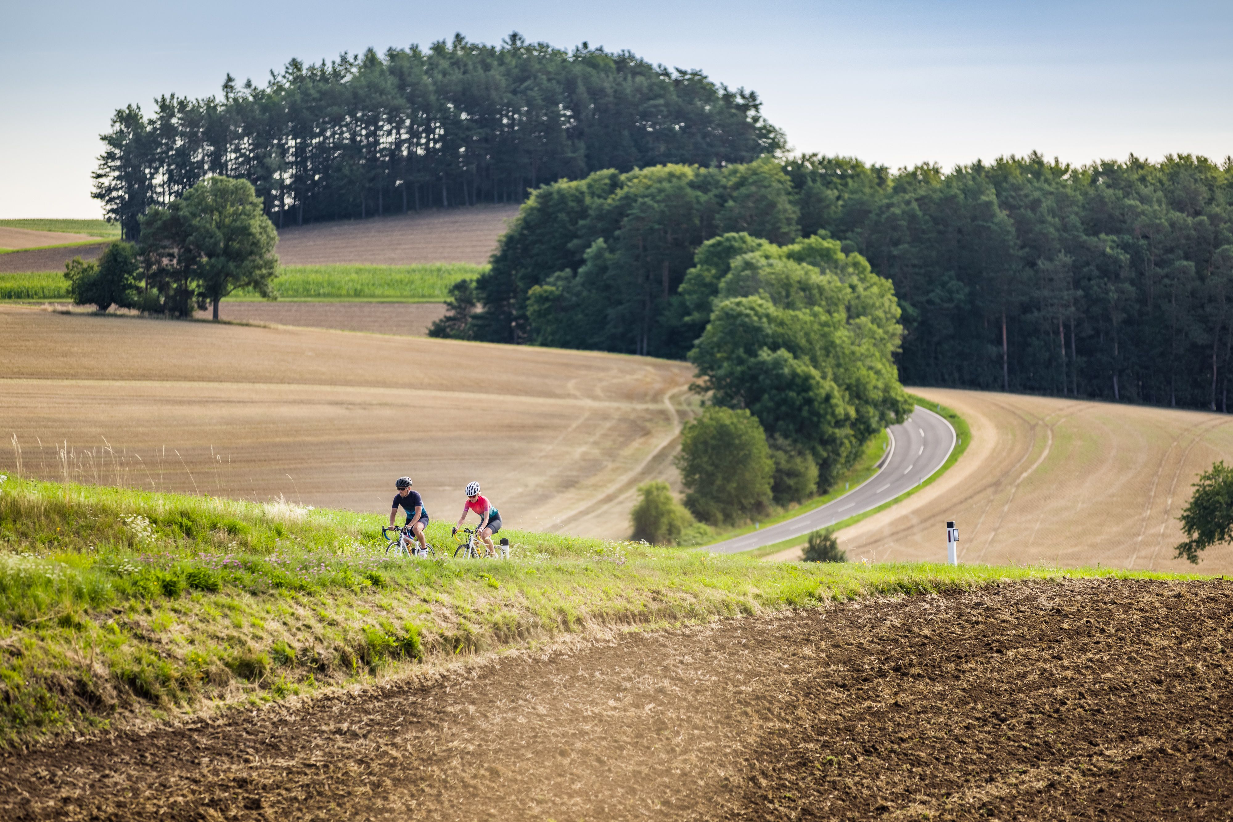Zwei Radfahrende fahren auf einer ländlichen Straße durch eine hügelige Landschaft mit Feldern und Wäldern.