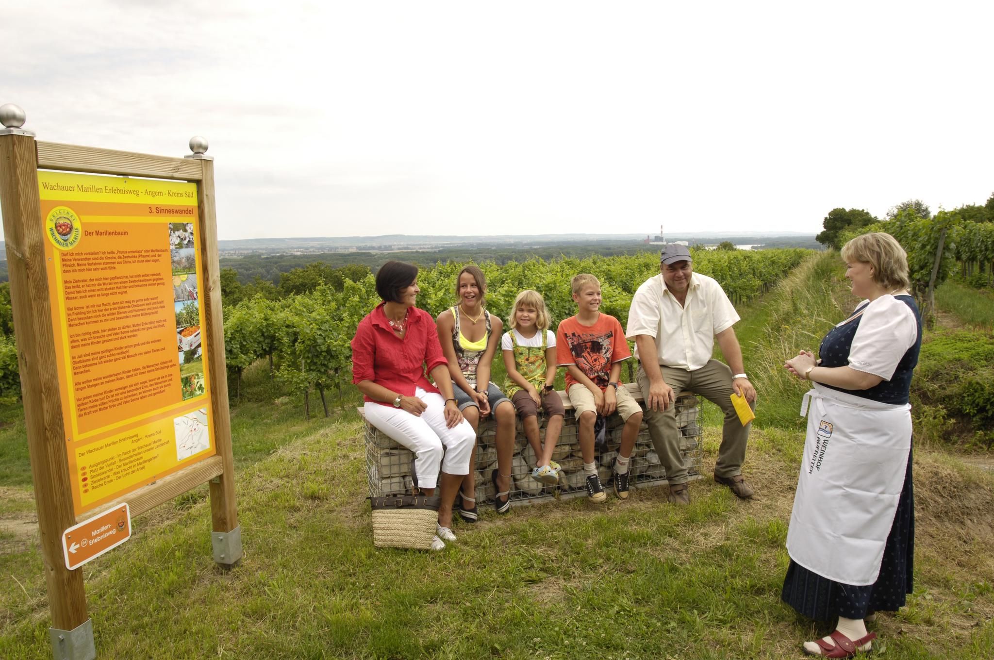 Gruppe von Menschen sitzt auf Kisten neben einem Schild auf einem Weinberg.