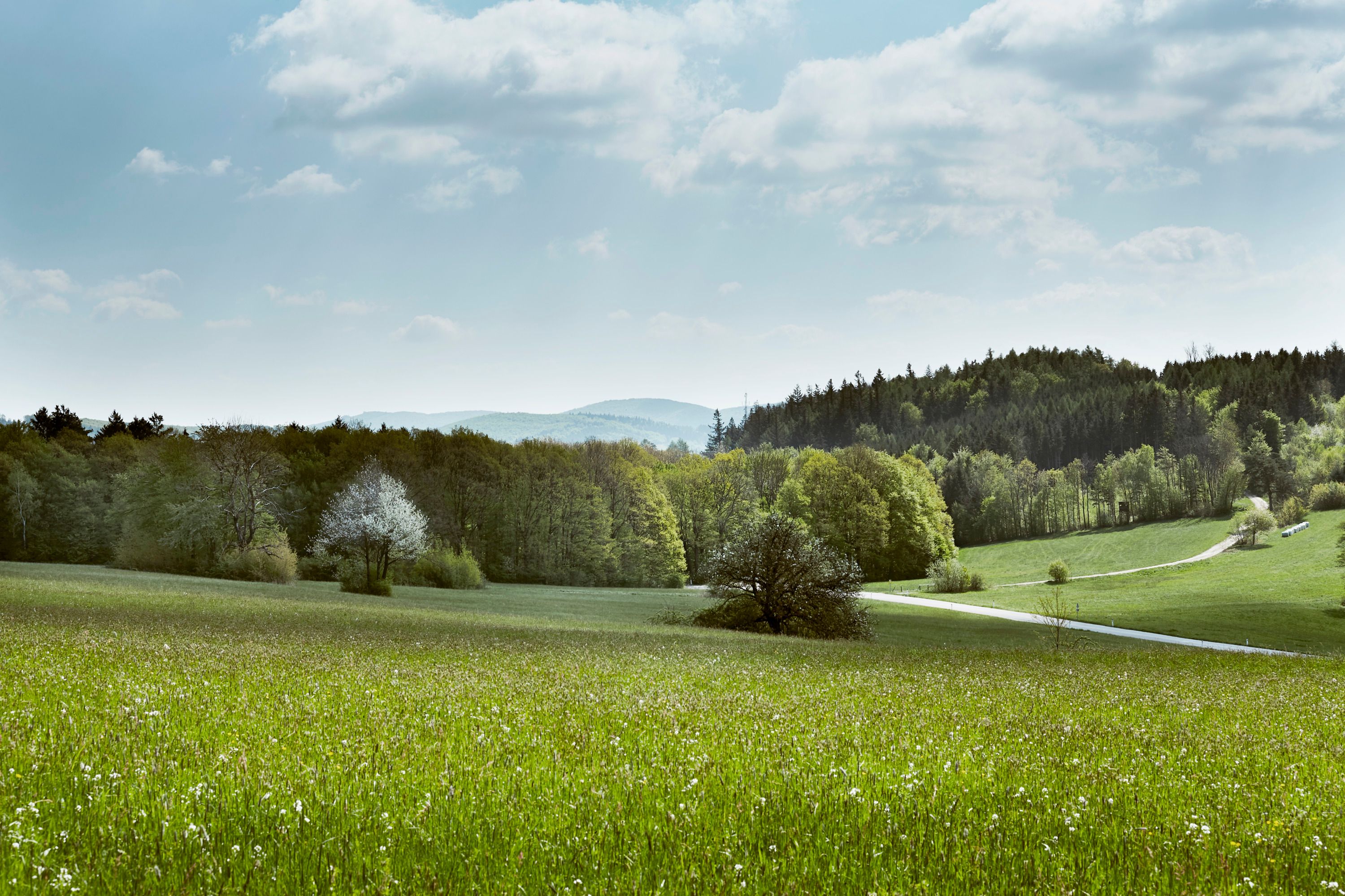 Irenental (c)Wienerwald Tourismus_Andreas Hofer_2021