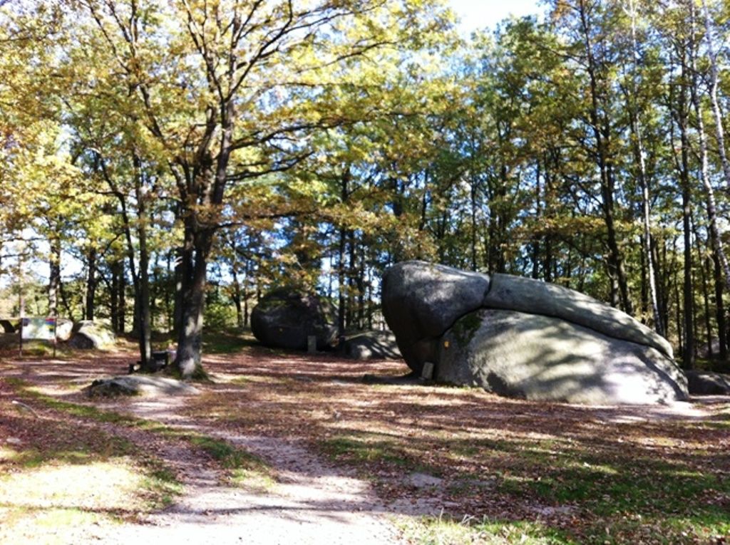 Naturpark Blockheide