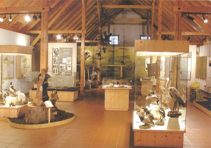 Innenansicht eines Museums mit Holzstruktur und Tierexponaten.