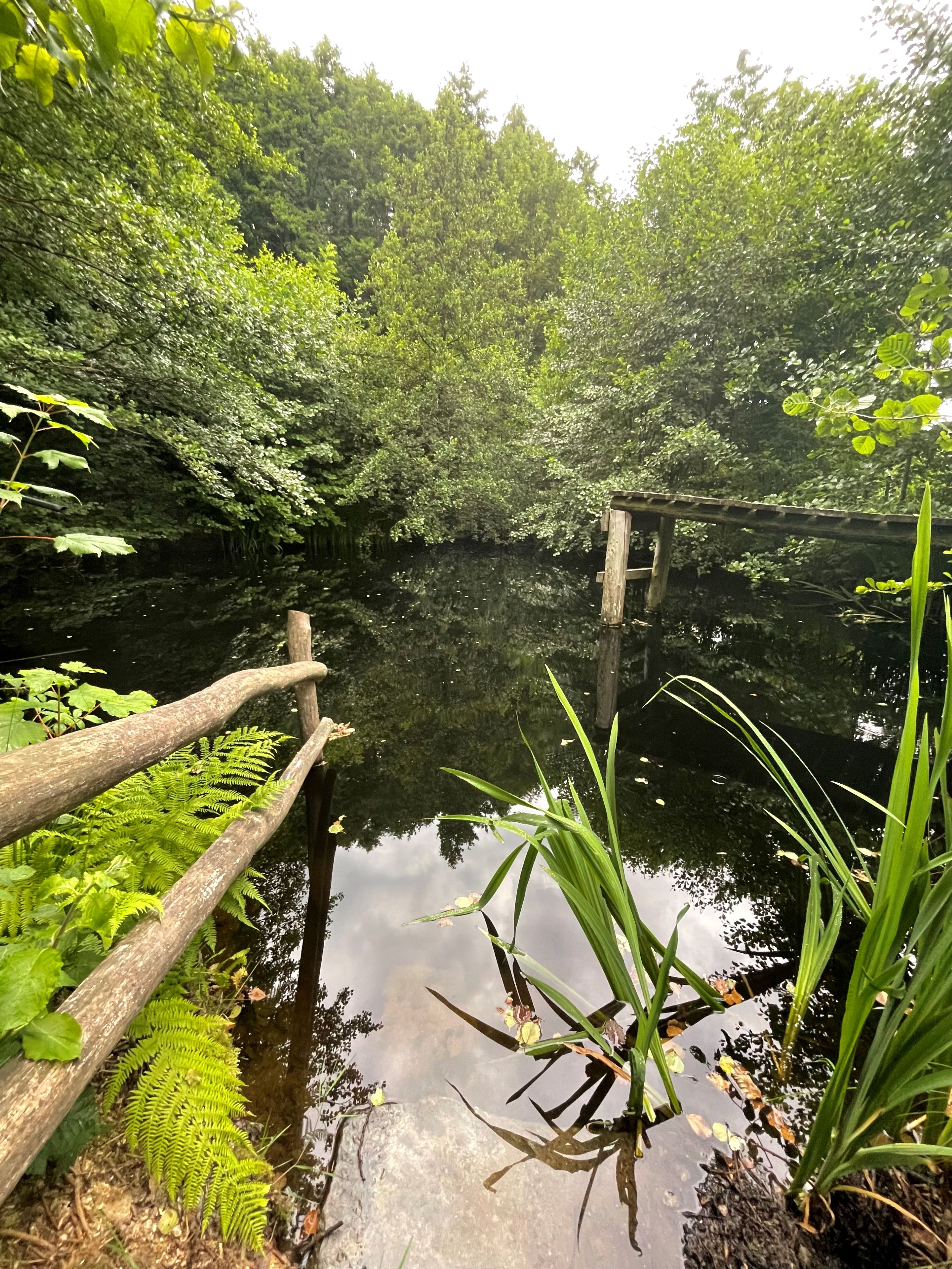 Privater Naturschwimmteich oberhalb der Ferienwohnung