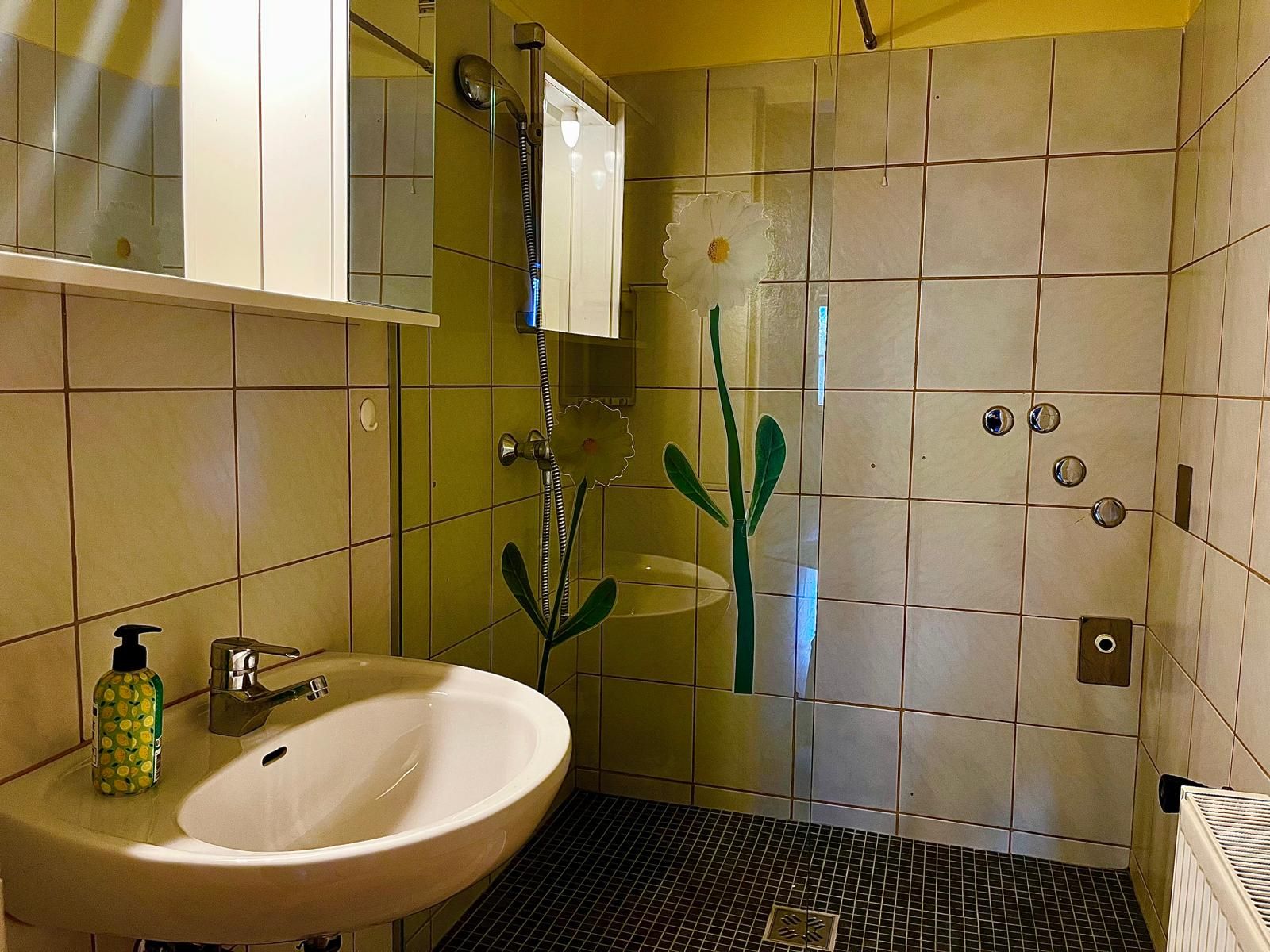 Badezimmer mit Waschbecken, Spiegel und Duschwand mit Blumenmotiv.