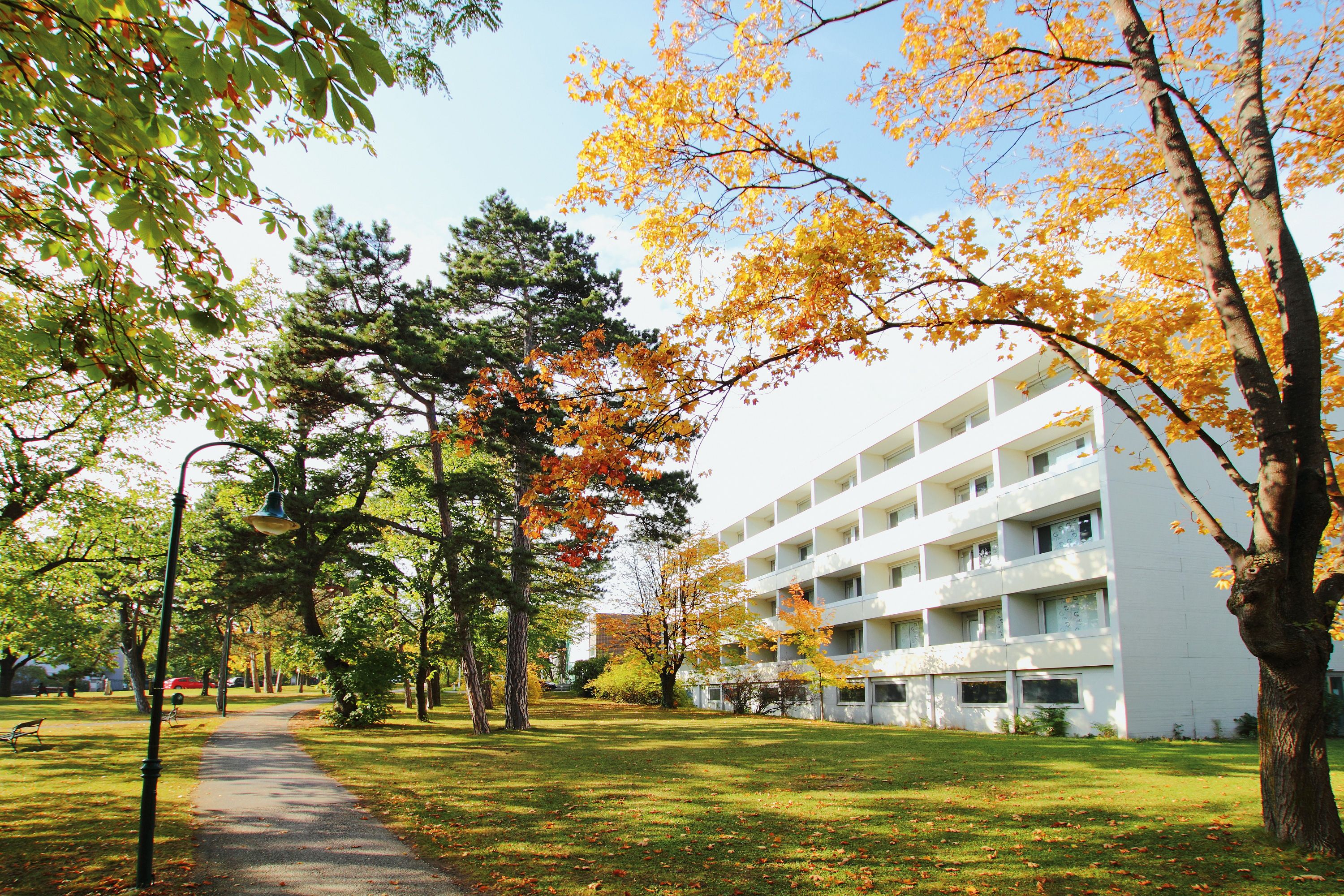 Ein weißes Gebäude neben einem herbstlichen Park mit Bäumen und einem Gehweg in Bad Vöslau.