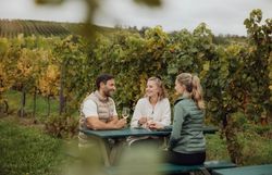 Inmitten der sanften Hügel der Weinregion genießen drei Freunde eine entspannte Auszeit in den Weingärten. Umgeben von üppigem Grün und dem Duft reifer Trauben, teilen sie fröhliche Gespräche und ein Glas erlesenen Wein. Diese idyllische Kulisse lädt dazu ein, die Schönheit des Weinwanderns zu entdecken.