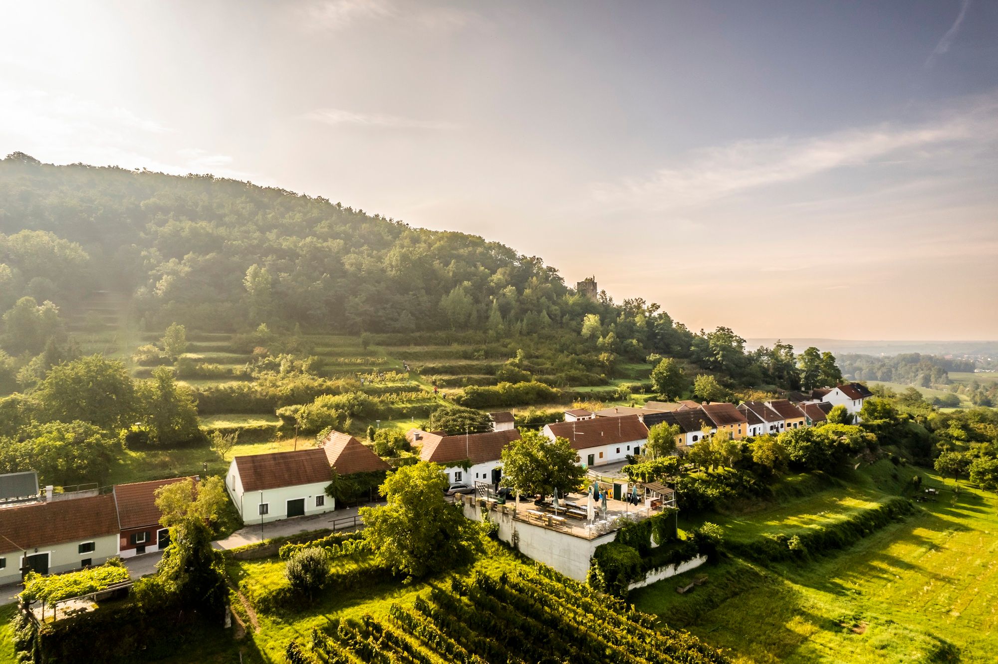 Landschaft mit Hügeln, Weinbergen und einer Reihe von Häusern am Fuße des Hügels.