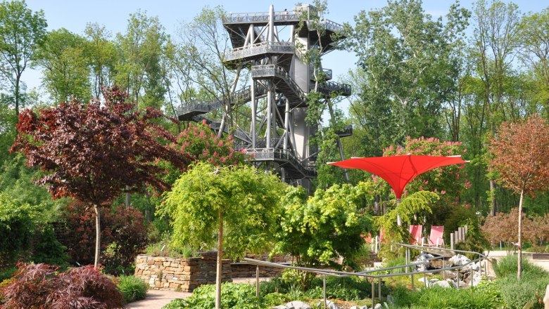 Ein Baumwipfelpfad mit einem hohen, modernen Turm aus Metall in einem gr&uuml;nen Waldgebiet.