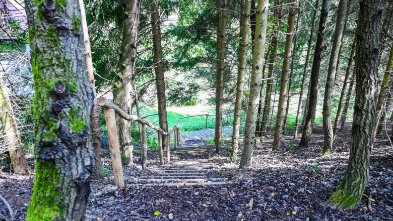 Heilwald Senftenberg, &copy; Nuhr Medical Center