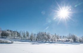 Winterlandschaft im Waldviertel, &copy; Waldviertel Tourismus, Robert Herbst