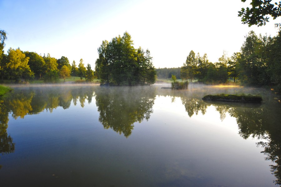 Naturpark Blockheide, &copy; Naturparke Nieder&ouml;sterreich/Robert Herbst