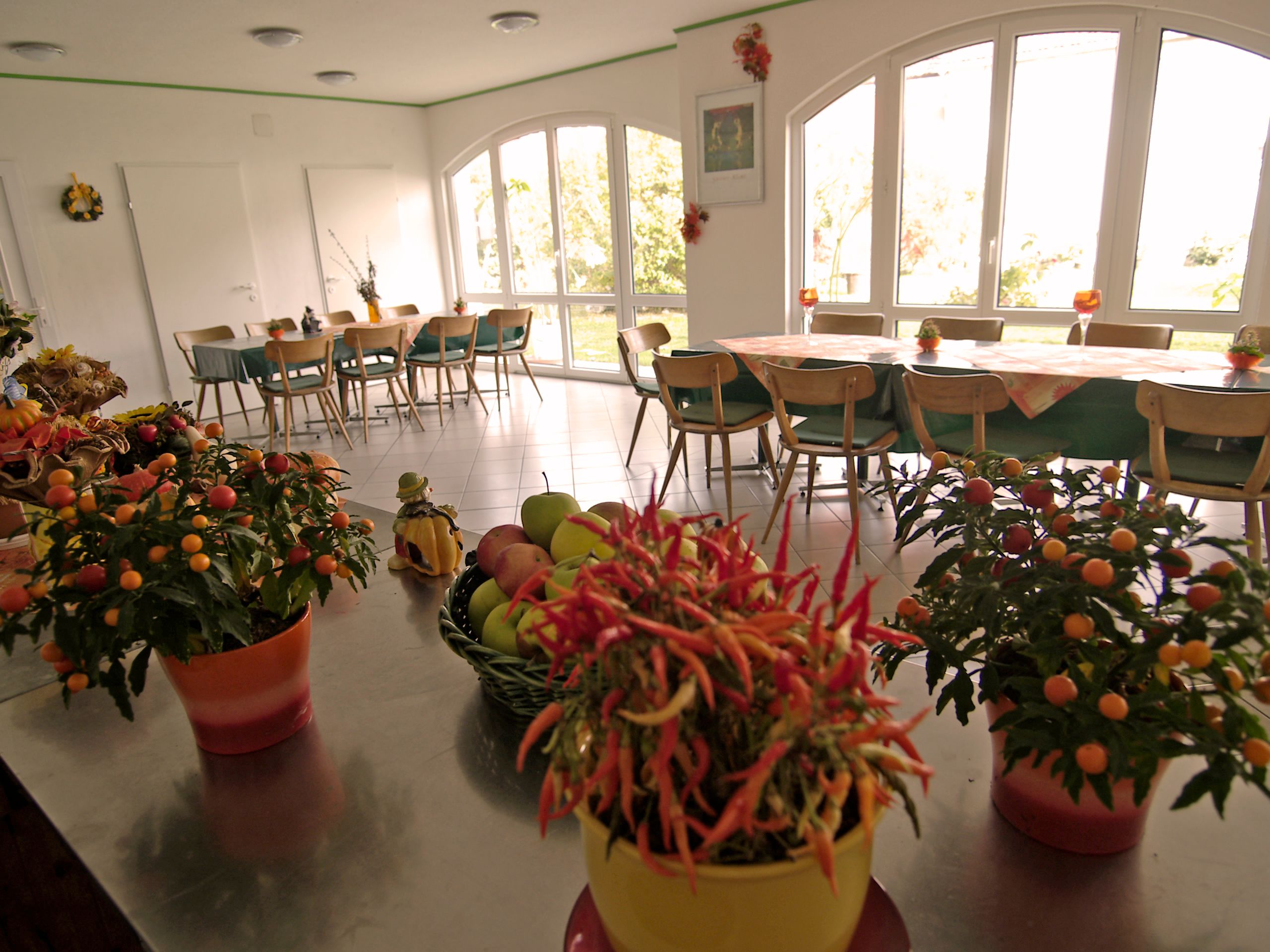 Ein heller Raum mit großen Fenstern, dekoriert mit Pflanzen und Obstschalen auf einem Tisch.