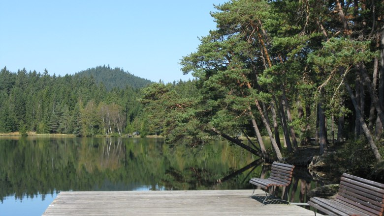 Ein ruhiger See mit Holzsteg und B&auml;nken, umgeben von Wald und blauem Himmel.