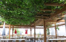 Überdachte Terrasse eines Restaurants mit Holzgitter und Weinreben.