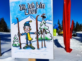 XCX Skills Park, &copy; L&WSV Kirchberg