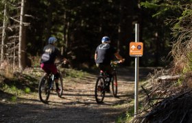 Herrgottschnitzer Route Uphill, © Wexl Trails